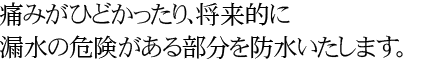 痛みがひどかったり、将来的に漏水の危険がある部分を防水いたします。